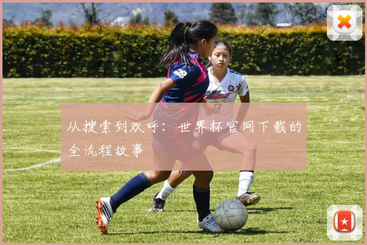 从搜索到欢呼：世界杯官网下载的全流程故事
